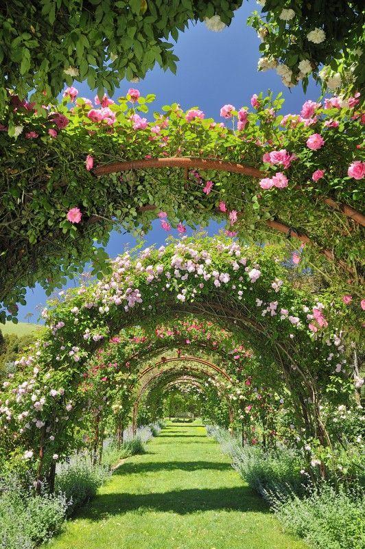 Sunset Serenade in Floral Harmony